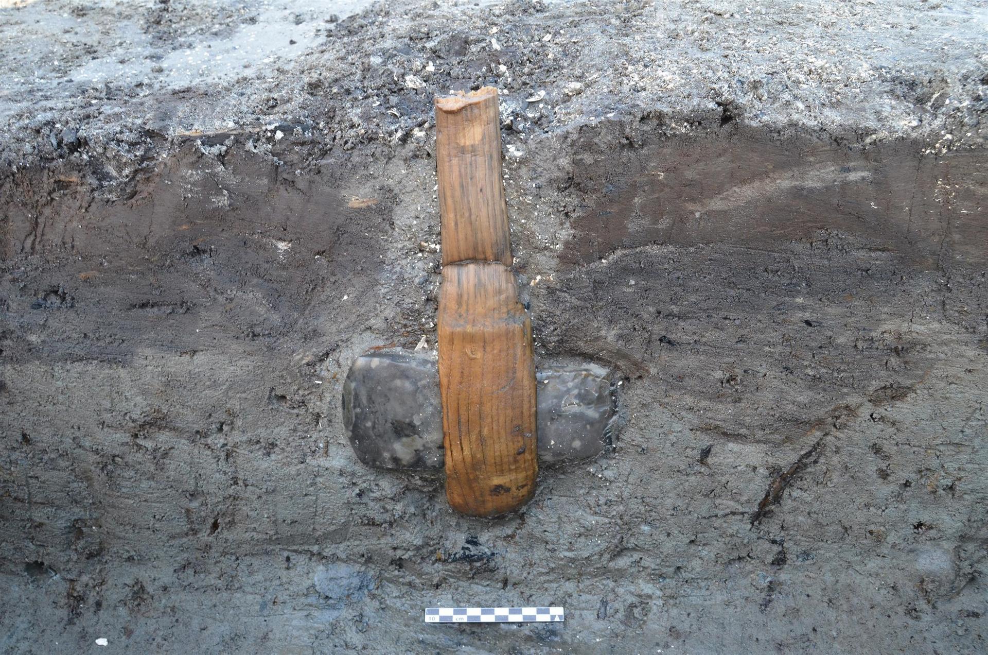 Stone Axes were a vital innovation to the development of agriculture and settlement building. This Axe was preserved in clay, making it extremely intact.